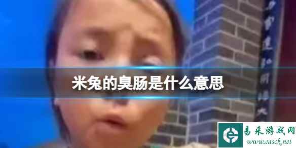 米兔的臭肠是什么意思 米兔的臭肠是热梗出处