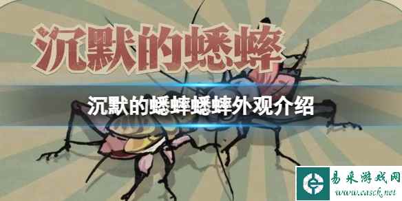 《沉默的蟋蟀》蟋蟀外观有什么区别?蟋蟀外观介绍