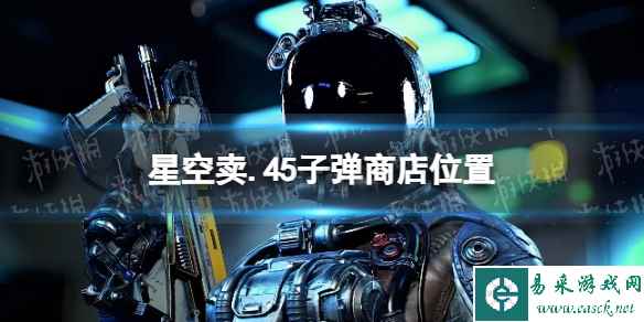 《星空》.45子弹在哪买？ 卖.45子弹商店位置