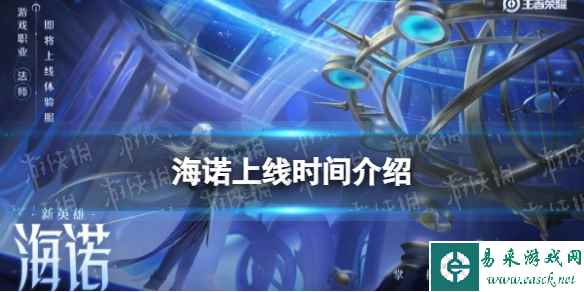 网1