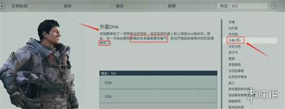 网1