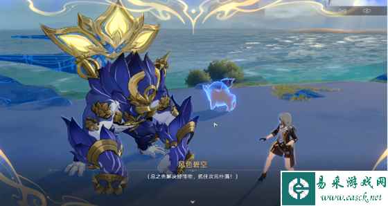 网5