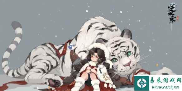 网2