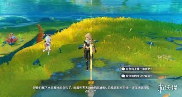 网5