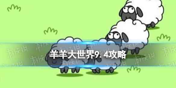 网1