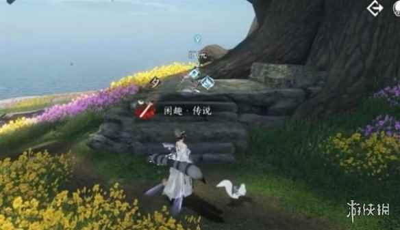 网4