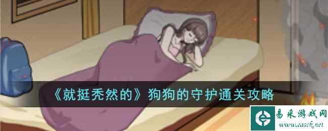 《就挺秃然的》狗狗的守护通关攻略
