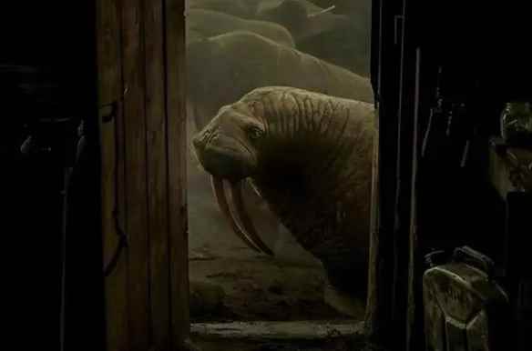 紫色辣椒、心形大西瓜！23张神奇的“活久见”照片