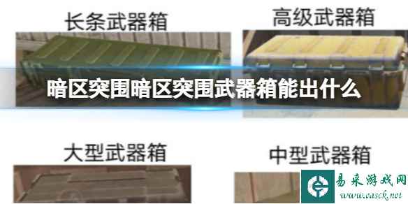网1