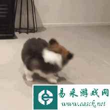易采游戏网
