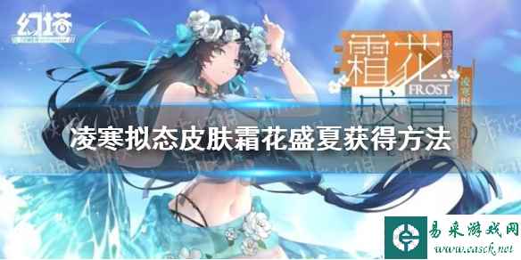 网1