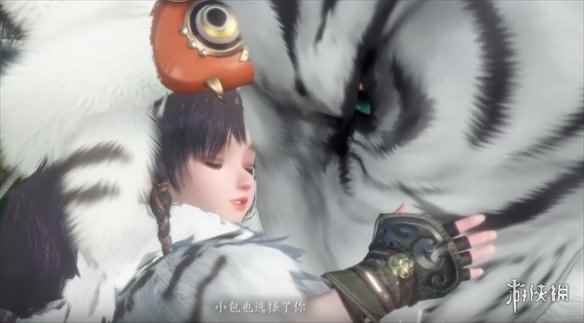 网5