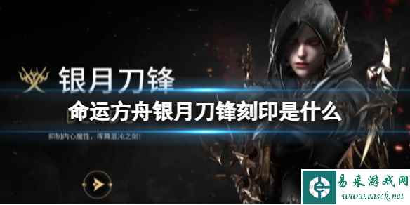 网1
