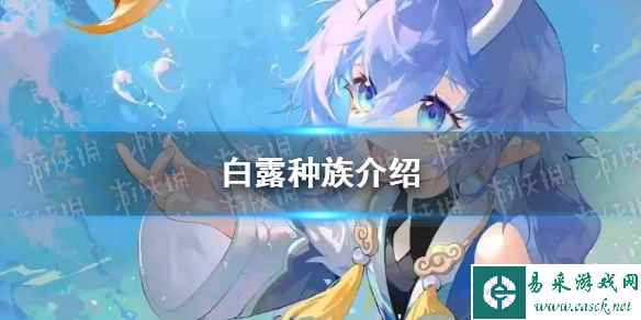 《崩坏星穹铁道》白露种族介绍