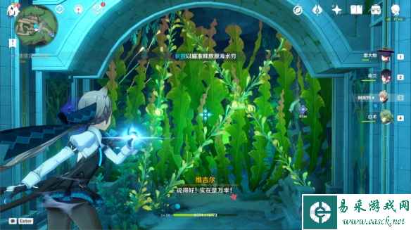 网5