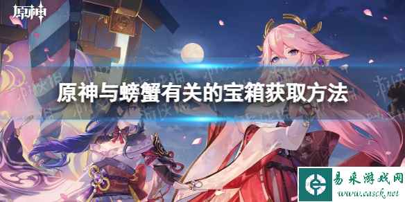 网1