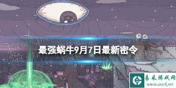网1