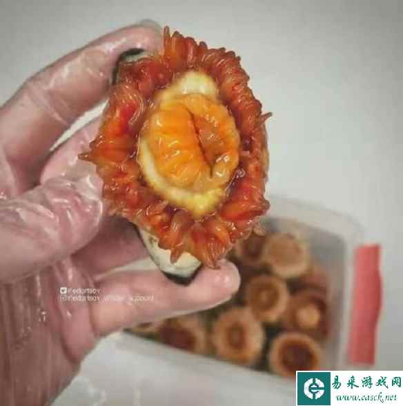 想挣大钱还是得在拍野外露出 囧图 是特斯拉面包车