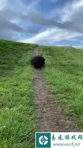 快停下,飞机要被你玩坏啦！动图 我觉得还能更短一点