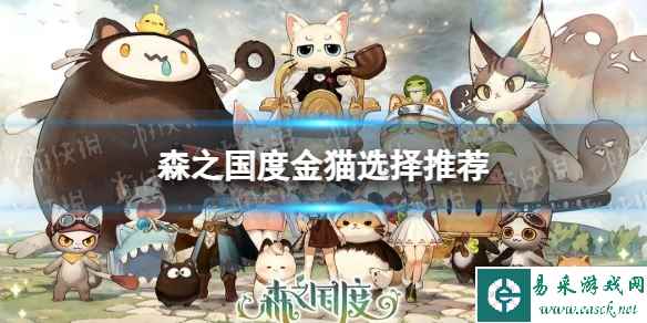 《森之国度》金猫选择攻略