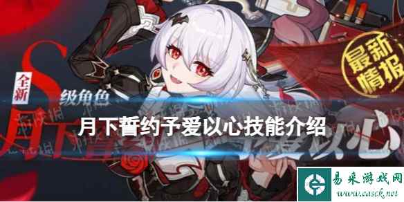 网1