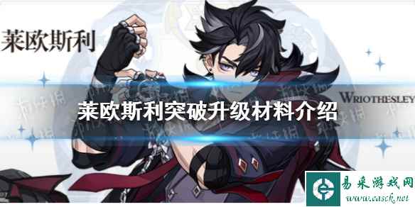 网1