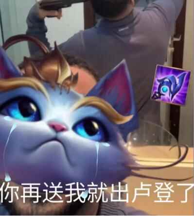 网6
