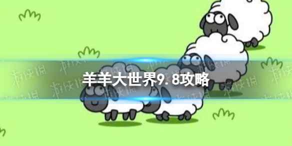 网1