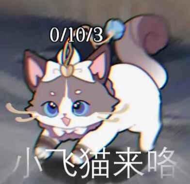 网10