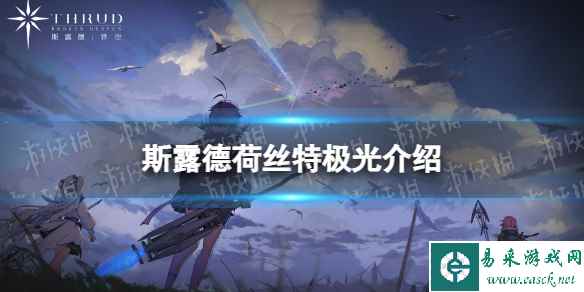 网1