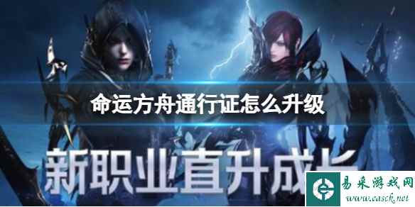 网1