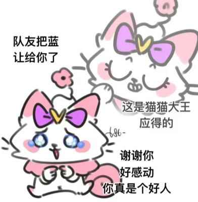 网12