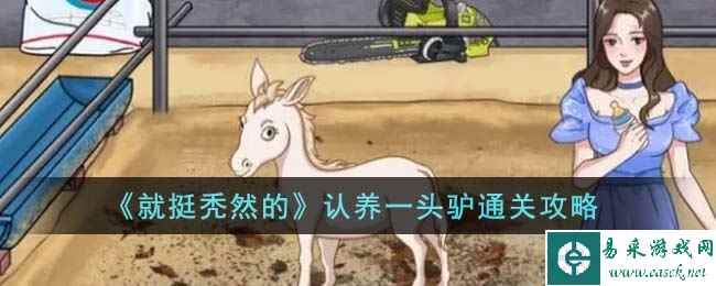 《就挺秃然的》认养一头驴通关攻略