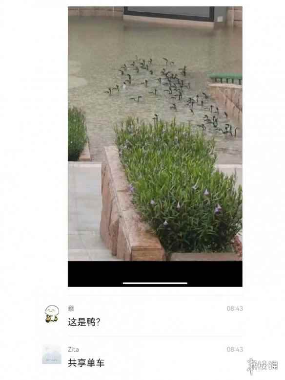 网2