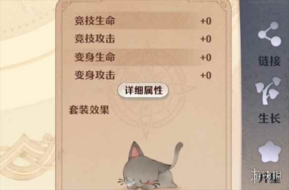 网5