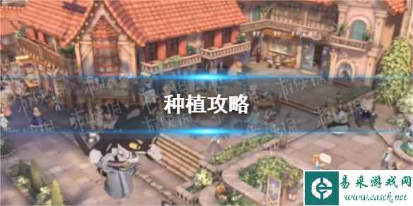 网1