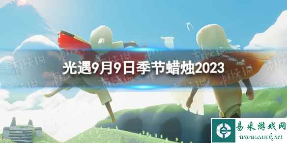 网1