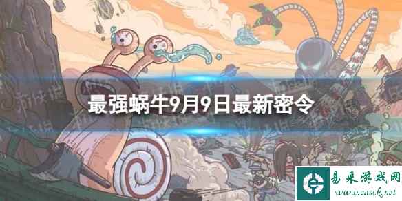 网1
