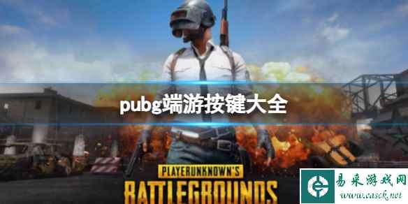 网1
