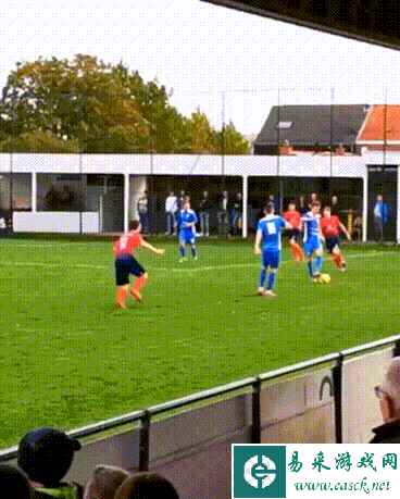 狗子失恋哭的好伤心 动图 发现了美术生就业新思路