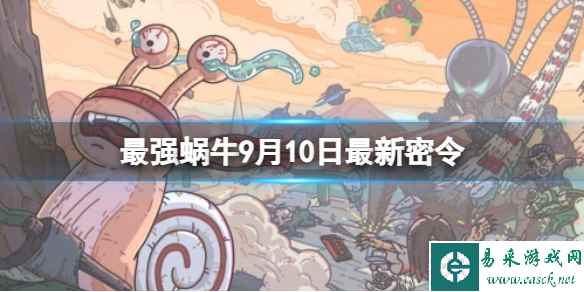 网1