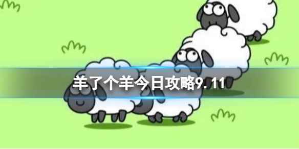 网1