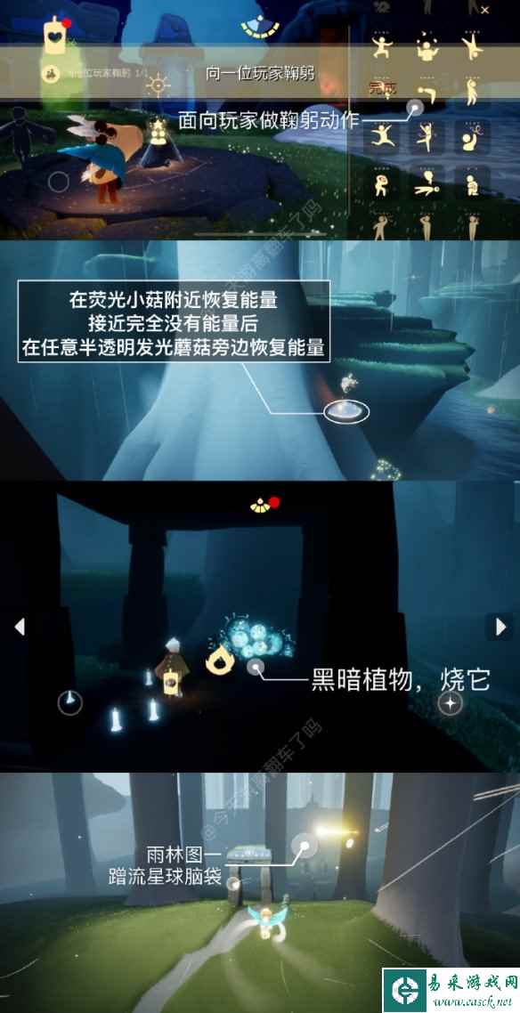 网2