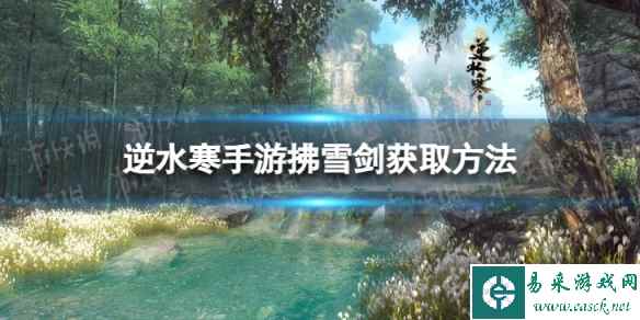 网1
