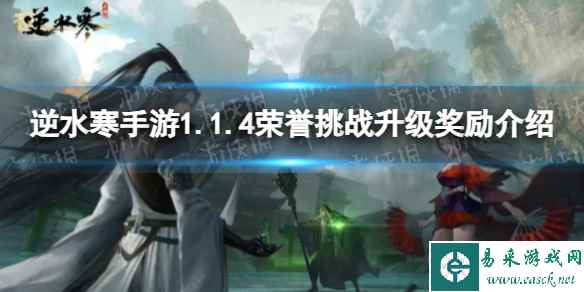 网1