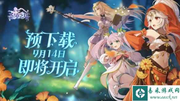 网2