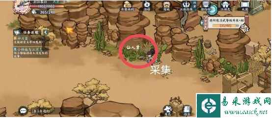 《方寸对决》大漠江湖志攻略