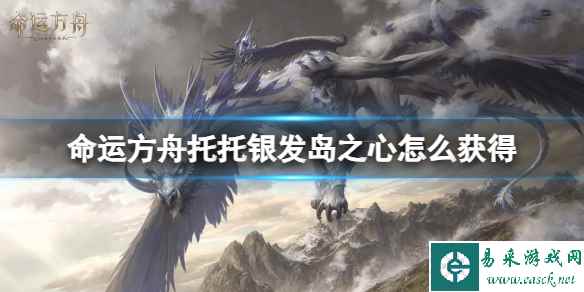 网1