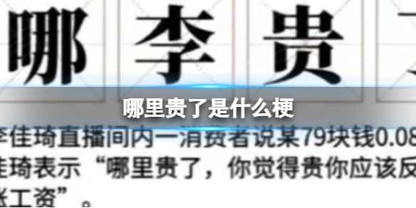 网1