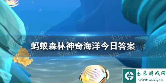 神奇海洋海带9.13 海带的生活环境是否与潮汐有关